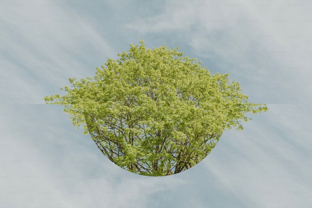 篮球一级运动员